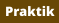 Praktik