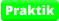 Praktik