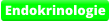 Endokrinologie