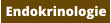 Endokrinologie